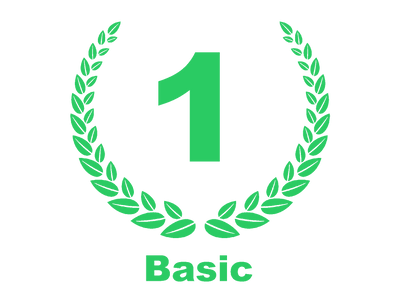 Level 1: Basic | Intensivkurs