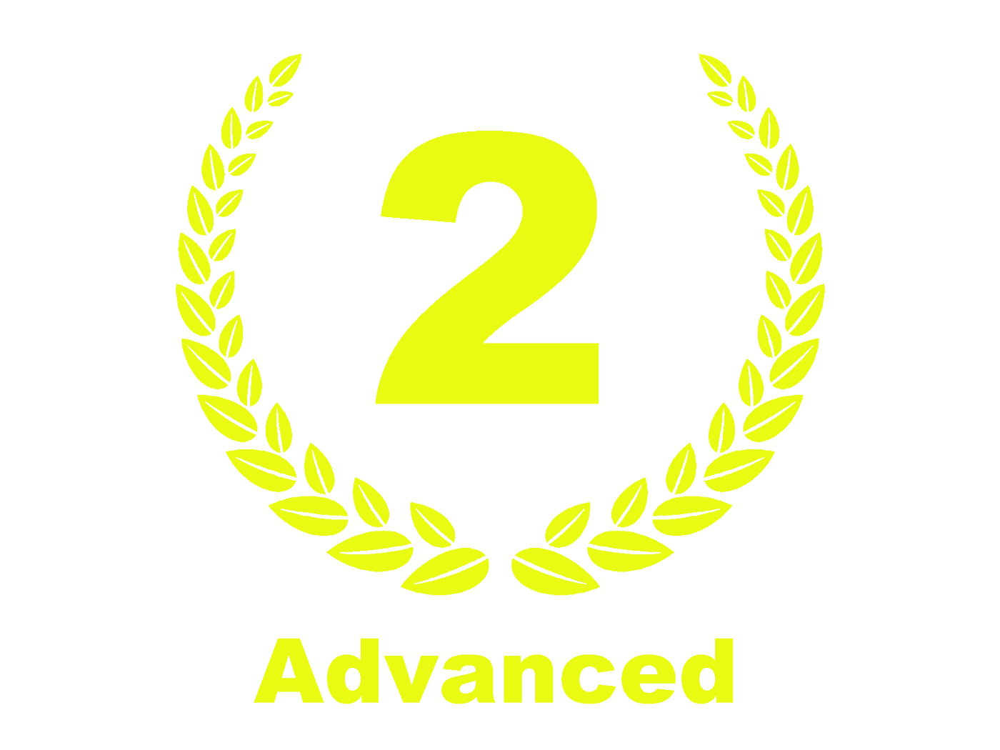 Level 2: Advanced | Kompaktkurs