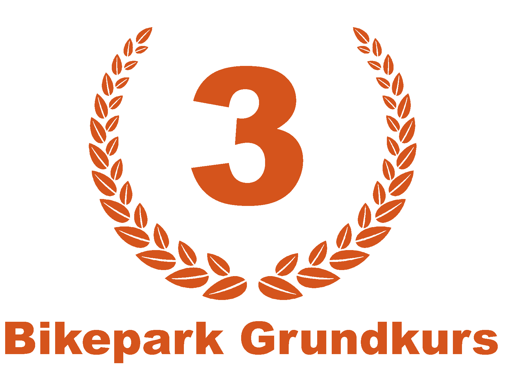 grundkurs mountainbike Level 3: Bikepark Basics MTB-Fahrtechniktraining | Moutainbike Kurs | MTB-Kurs
